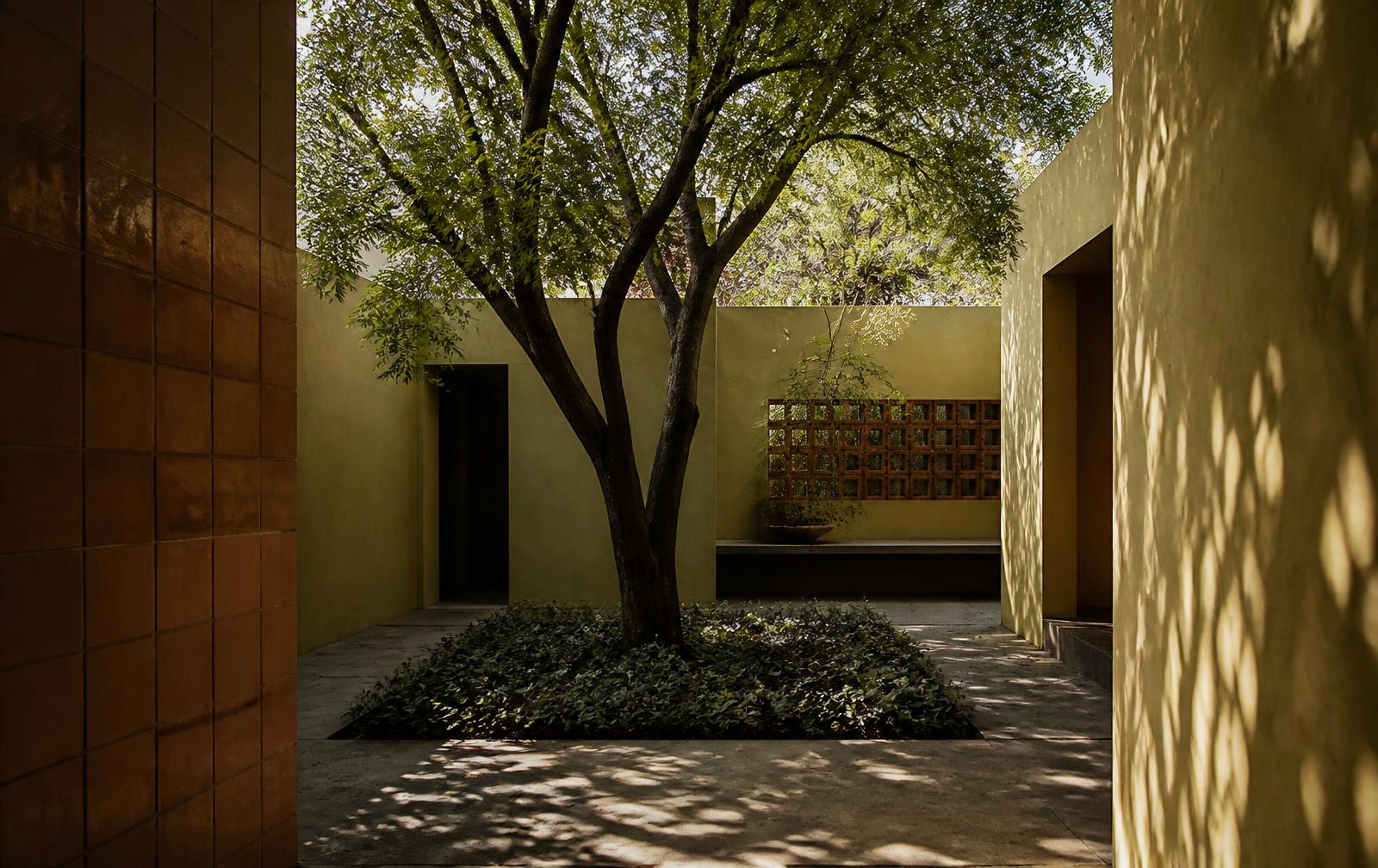 Patio interior de una vivienda contemporánea con un árbol maduro y sombras filtradas sobre el pavimento